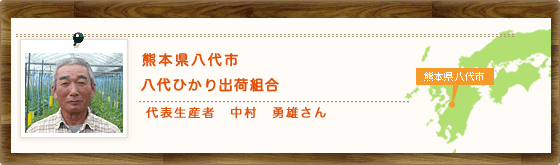 熊本県八代市 八代ひかり出荷組合 代表生産者 中村 勇雄さん