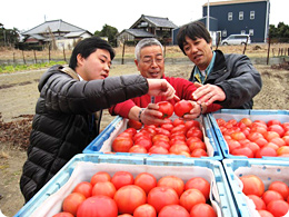 鵜澤さん(右)と共にトマトを確認