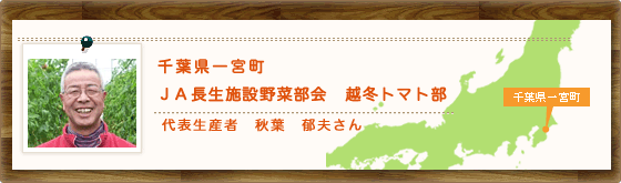 千葉県一宮町 JA長生施設野菜部会 越冬トマト部 代表生産者 秋葉 郁夫さん