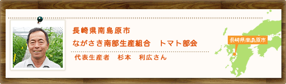 長崎県南島原市 ながさき南部生産組合 トマト部会 代表生産者 杉本 利広さん