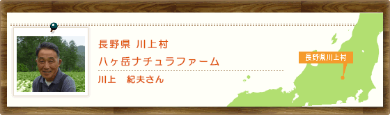 長野県川上村 八ヶ岳ナチュラファーム 川上 紀夫さん