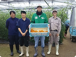みんなでトマト作りを極めます!