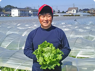 茨城県結城郡八千代町 四季菜くらぶ(レタス) 代表生産者 高木 勝弘さん