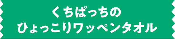 くちぱっちのひょっこりワッペンタオル